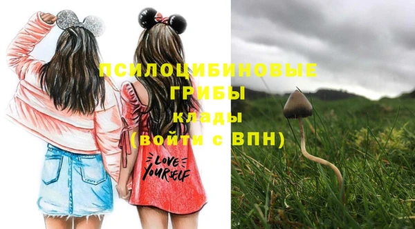 винт Абаза