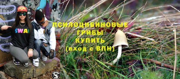 винт Абаза