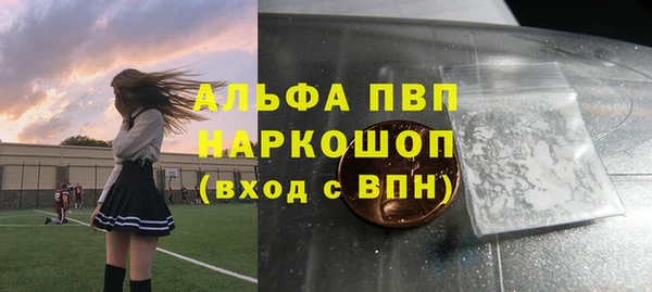 винт Абаза