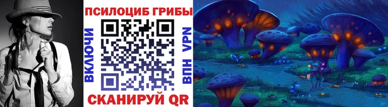 Псилоцибиновые грибы GOLDEN TEACHER Липецк