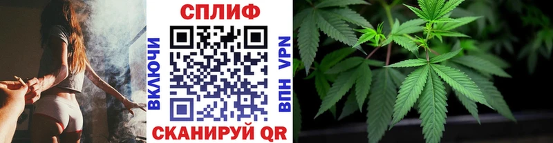 Бошки марихуана SATIVA & INDICA  Липецк 